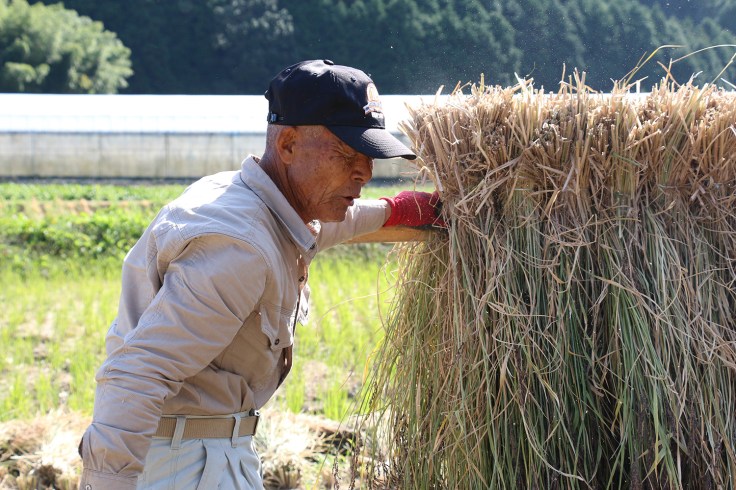 しめ飾り＿上甲さん