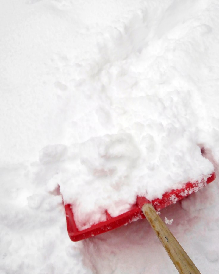 IMG_20181229_151858_792