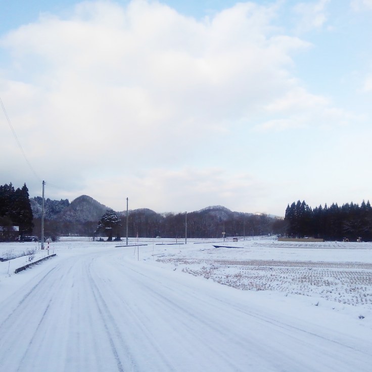 IMG_20200117_095054_040